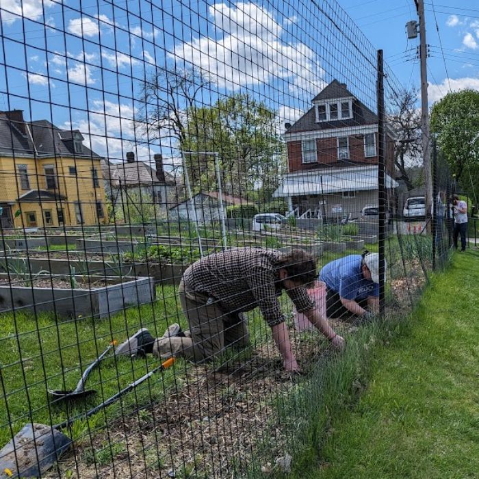 Volunteers weeding at the Community Garden